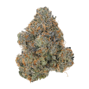Lemon Cherry Gelato