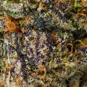 Exotic Smalls
