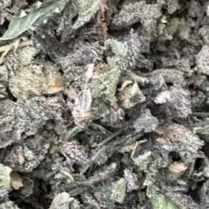 Gelato Exotic Trim