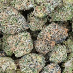 Indoor Smalls image 2