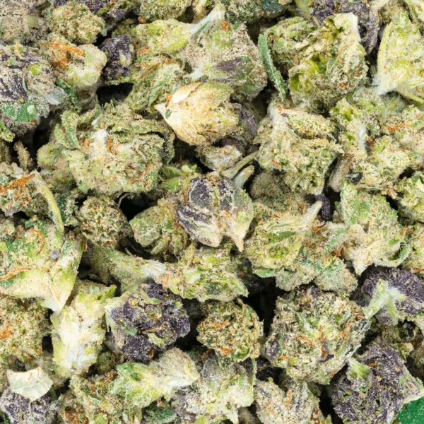 Indoor Micros