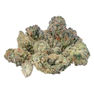 Indoor Smalls