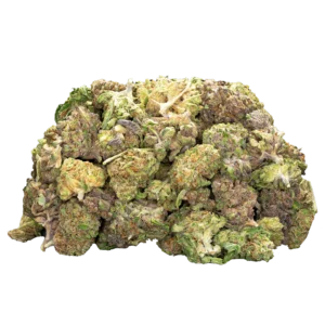 Outdoor Flower