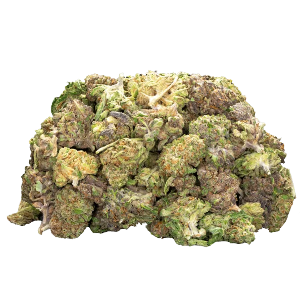 Outdoor Flower