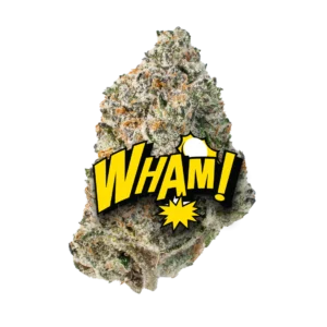 WHAM! image 2