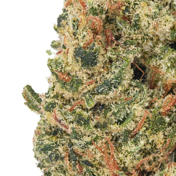 Blackberry Kush