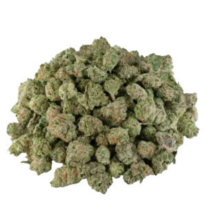 Bulk Discount Indoor Flower