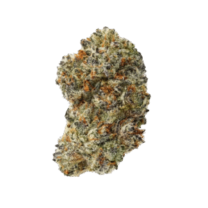 Indoor Flower