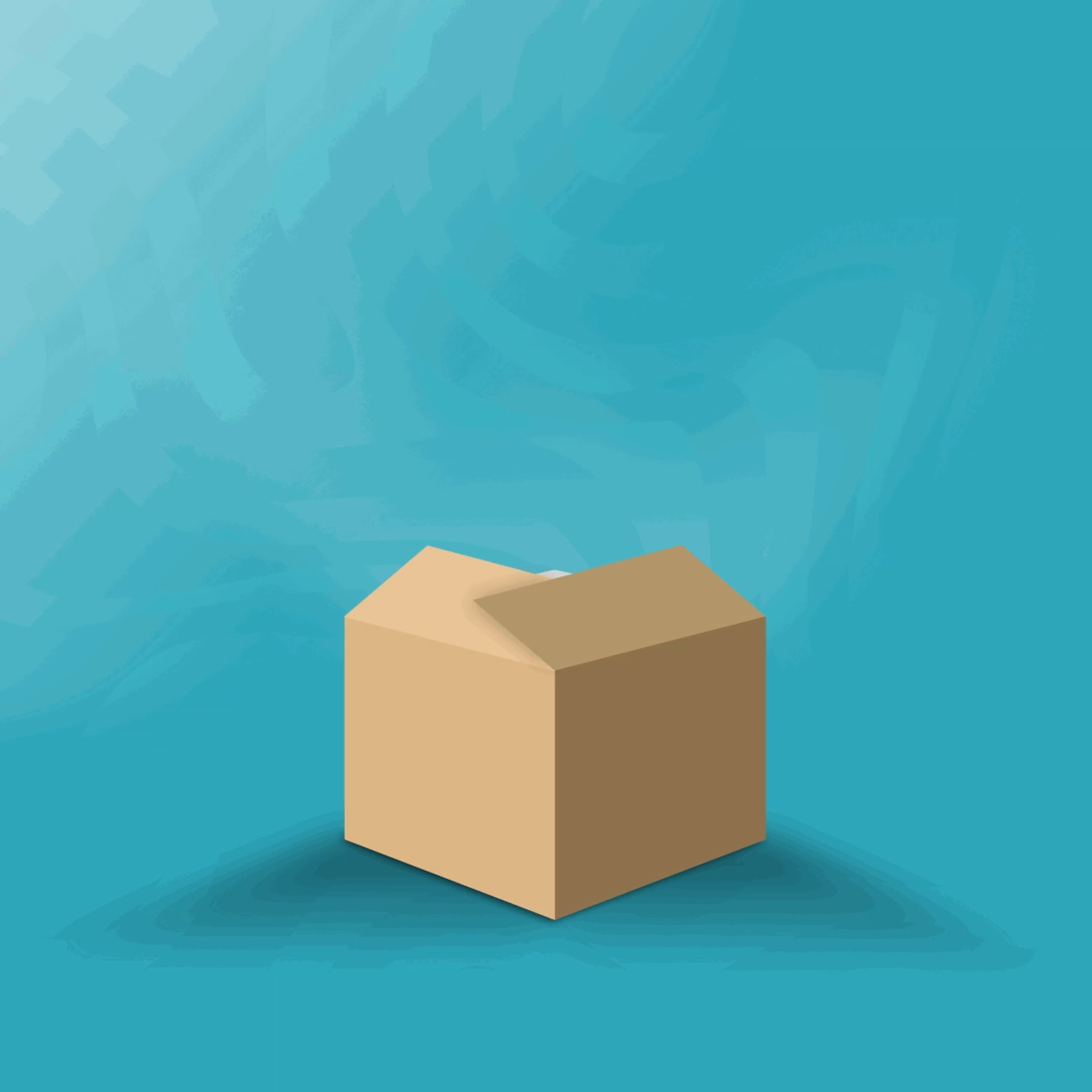 Discreet Shipping