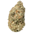 Purple OG