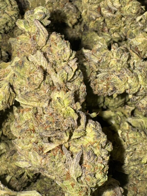 Purple OG