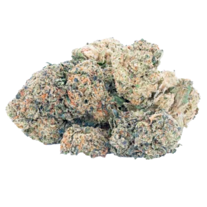 Mango Dream image 3