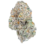 Blue Cherry Gelato