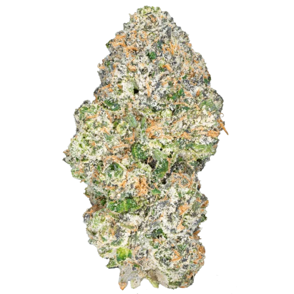 Apple Fritter