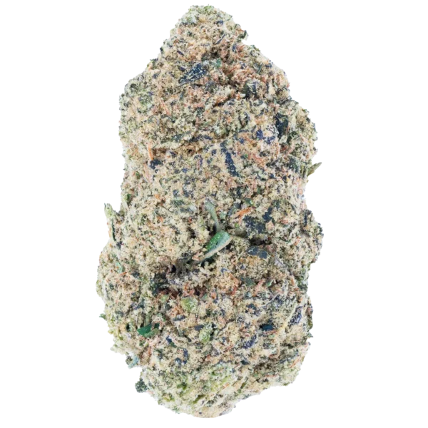 Mango Dream