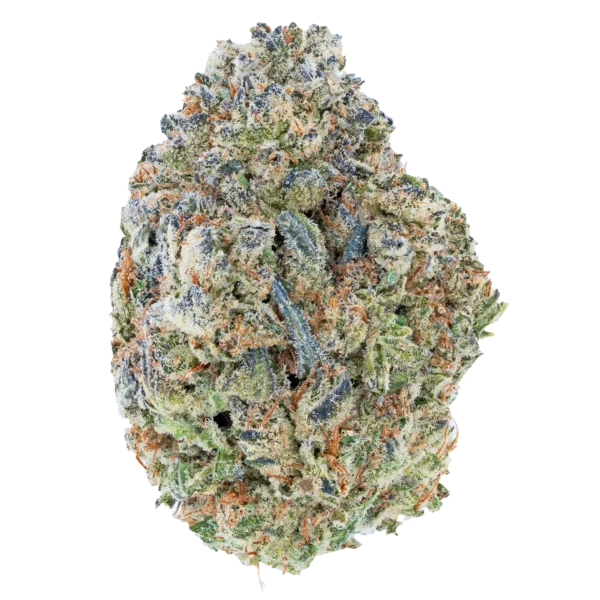 Glitter Bomb